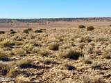 0 N7009 40 Acres - Photo 13