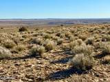 0 N7009 40 Acres - Photo 14