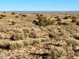 0 N7009 40 Acres - Photo 15