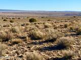 0 N7009 40 Acres - Photo 3