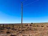 0 N7009 40 Acres - Photo 4