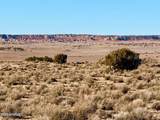 0 N7009 40 Acres - Photo 7