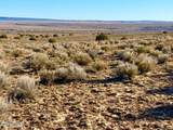 0 N7009 40 Acres - Photo 9