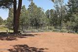1644 White Mountain Boulevard - Photo 47
