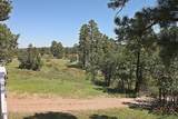 1644 White Mountain Boulevard - Photo 48