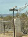 334xx Painted Wagon Trail - Photo 8