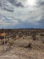 333xx Painted Wagon Trail - Photo 7