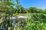 410 Bonita Ranch Loop - Photo 18