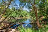 410 Bonita Ranch Loop - Photo 19