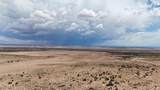 TBD Gbar Ranch Parcel 204-78-209 - Photo 4