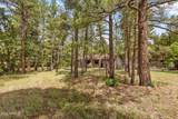 17325 Mescalero Drive - Photo 18