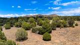 15651 Molly Way - Photo 2
