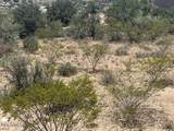 3915 Camden Pass Pass - Photo 4