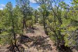 1794 Canyon Drive - Photo 15