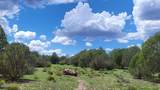 111 Ranch Road - Photo 5