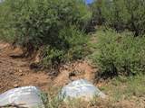 2596 Rio Verde Drive - Photo 13
