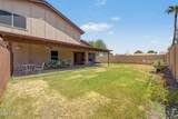 3933 Saguaro Park Lane - Photo 36