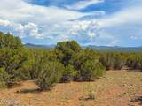 0 Gample Ln 13 Acres (Lot A) - Photo 10