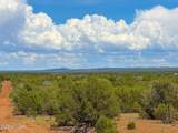 0 Gample Ln 13 Acres (Lot A) - Photo 16