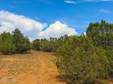 0 Gample Ln 13 Acres (Lot A) - Photo 18