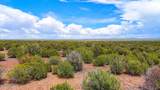 0 Gample Ln 13 Acres (Lot C) - Photo 12