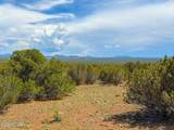 0 Gample Ln 13 Acres (Lot C) - Photo 16