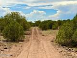 0 Gample Ln 13 Acres (Lot C) - Photo 22