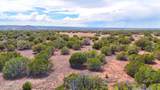 0 Gample Ln 13 Acres (Lot C) - Photo 5