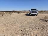 80XX 339th Avenue - Photo 6