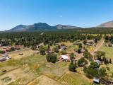 11345 Alice Drive - Photo 1