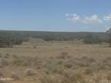 Lot 19 Red Sky Ranch - Photo 11