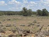 Lot 19 Red Sky Ranch - Photo 8
