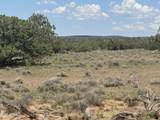 Lot 19 Red Sky Ranch - Photo 9