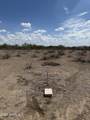 390XX Orangewood Road - Photo 1