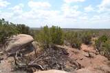 3813 Hay Hollow Road - Photo 17