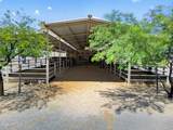 383 Red Fern Road - Photo 10