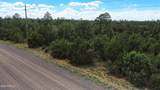 3724 Sunset Ridge Loop - Photo 6