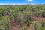8476 Mogollon Trail - Photo 9