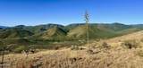 --- Miners Pick Road - Photo 16