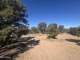Lot 86 Witch Well Ranchos - Photo 19
