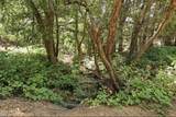 161 Coues Deer Lane - Photo 38