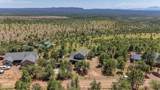 161 Coues Deer Lane - Photo 44