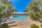 5519 Coyote Canyon - Photo 44