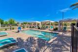 5519 Coyote Canyon - Photo 53