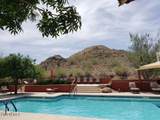 30909 Orange Blossom Circle - Photo 49