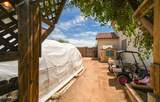 31686 Bobcat Way - Photo 34