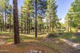 3361 Tourmaline Drive - Photo 4