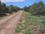 TBD Birdwing Lane - Photo 19
