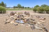 15905 Clear Canyon Drive - Photo 47