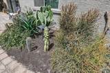 1317 Fremont Road - Photo 59